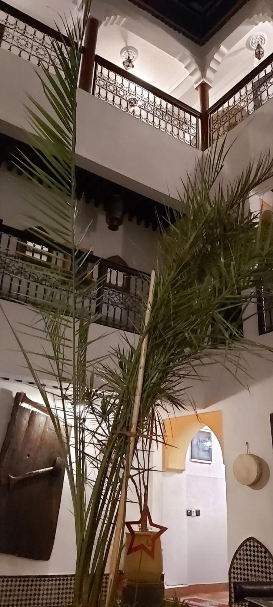 里亚德阿杰贝尔酒店 马拉喀什 外观 照片